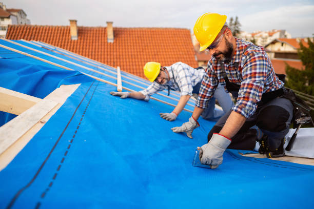 Best Storm Damage Roof Repair  in Candlewick Lake, IL