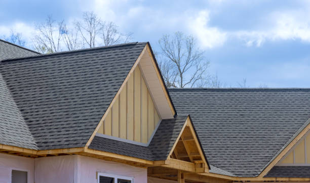 Best Green or Eco-Friendly Roofing Solutions  in Candlewick Lake, IL