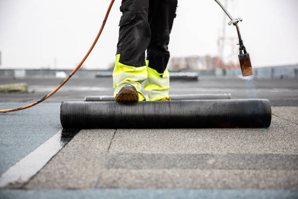 Best Roof Coating and Sealing  in Candlewick Lake, IL